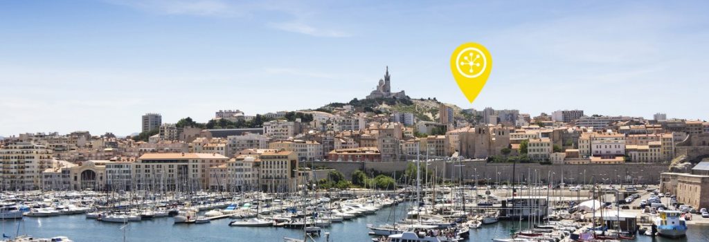 Delimiter Connects to DECIX Marseille